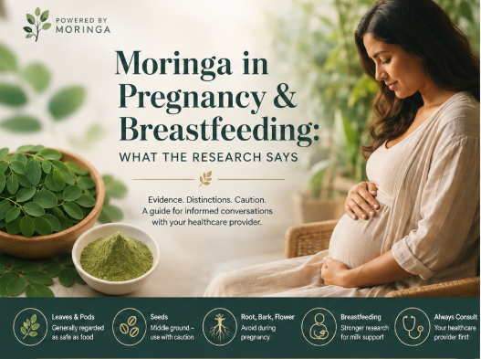 Moringa in Pregnancy & Breastfeeding: What the Research Says